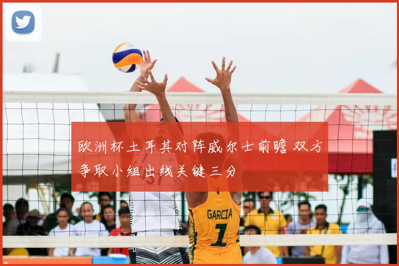 欧洲杯土耳其对阵威尔士前瞻 双方争取小组出线关键三分